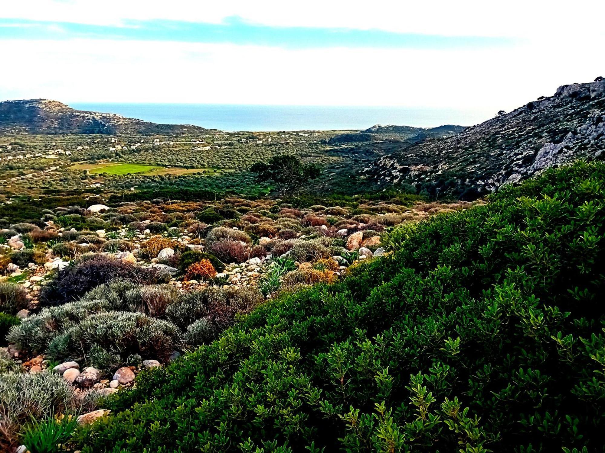 Lucidum Villa Rhodes Faliraki Exteriér fotografie